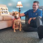 article image - coalbie